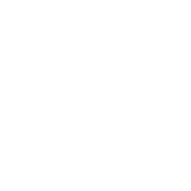 Workday Integrations